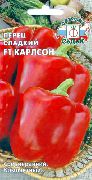 ������� F1
