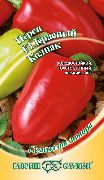 Красный колпак F1