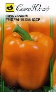 Оранж вандер F1