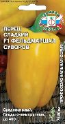 ����������� ������� F1 ���� �����