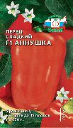 ������� F1 ���� �����