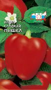 Пышка