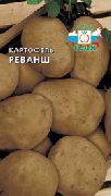 Реванш