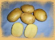 ���� ���� ���������