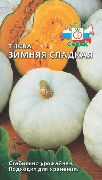Зимняя Сладкая