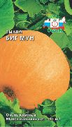 Биг Мун