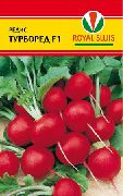 Турборед F1