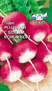 Розовый с белым кончиком