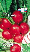 ������� ���� ������