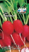 Чемпион