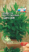 Одиссей