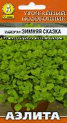 Зимняя сказка