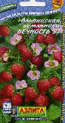 Вечность S1