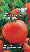 Полярник