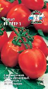 Петр Первый F1