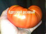 �������� ������� ���� ������� (���������)