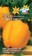 Дон Кихот F1