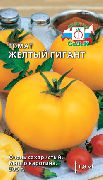 Желтый гигант