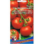 Профессионал F1