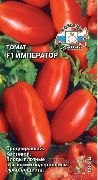 Император F1