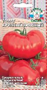 Крупный красный