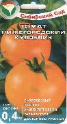 Нижегородский кудяблик