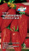 Перцевидный полосатый