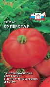 Суперстар