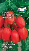 Амулет
