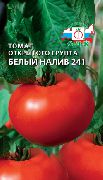 Белый налив