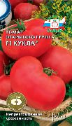 Кукла F1