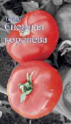 Снежная королева