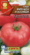 Микада розовая