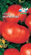 Марманде