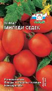 Миледи СеДеК