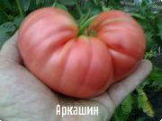 ������� ���� ������� (���������)