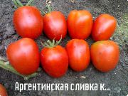 Аргентинская сливка красная