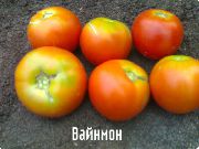 ������� ����  ���� ������� (���������)