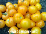 Киндер рек делишес