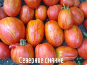Северное сияние