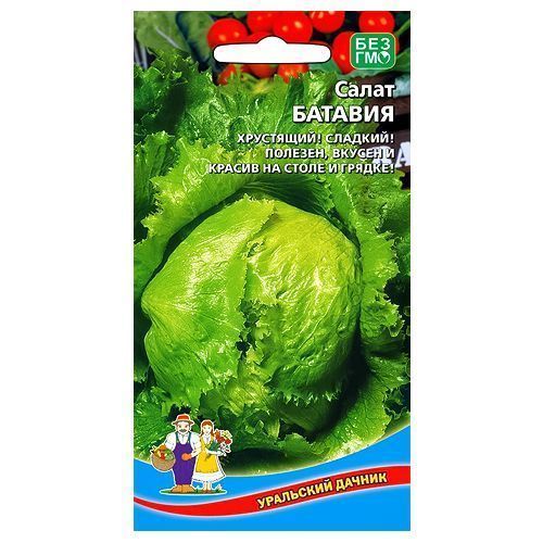 ���� ����� ������� ��������� ������, ����, ������ ������ �� 40 ���