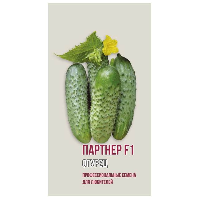 ���� ������ ������ ������� F1 ������ 5��, ����, ������ ������ �� 51 ���