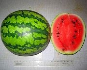 ВНИИОБ 2 F1