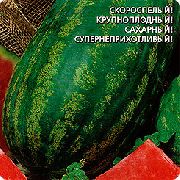 ���������� ������� F1 ���� ������