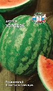 ������� ���� ������
