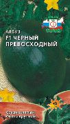 ������ ������������ F1 ���� ������
