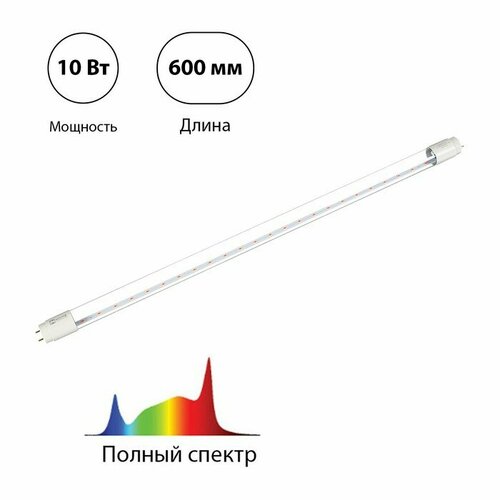  , 10 , 600 ,  G13,  , LED-T8-FITO, IN HOME 1340