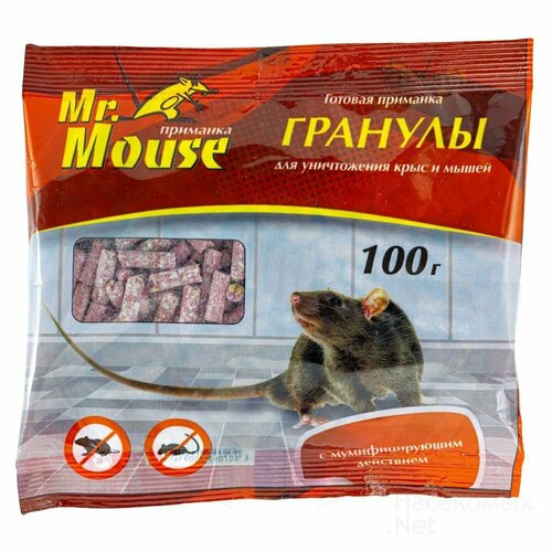 Mr.Mouse         100   3  190