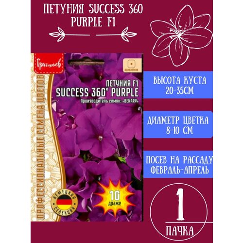  SUCCESS 360 Purple F1 1, ,    233 