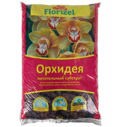����� ��� ������� Florizel 5 � ��������, ����, ������ ������ �� 299 ���